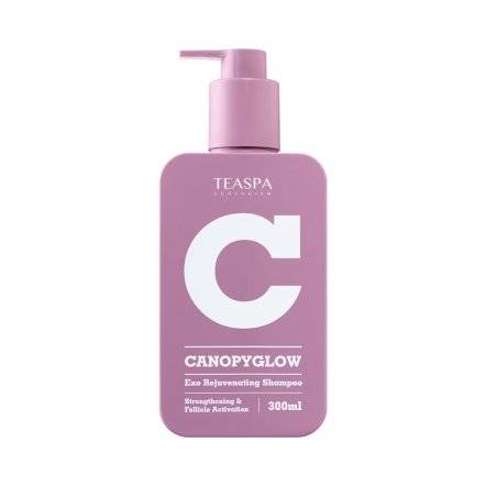 一日茶道 TEASPA | 賦活森林外泌體洗髮精300ml