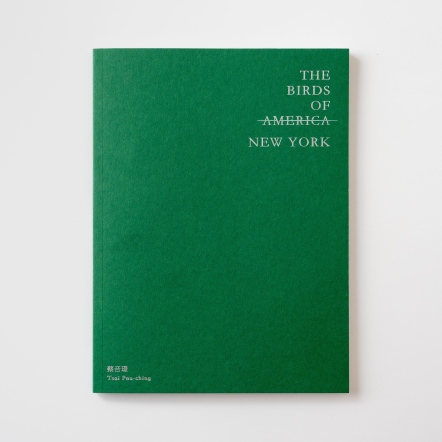 伊日藝術計劃 YIRI ARTS｜蔡咅璟：The Birds of New York